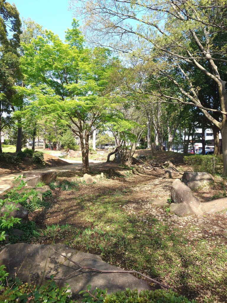 南流山中央公園