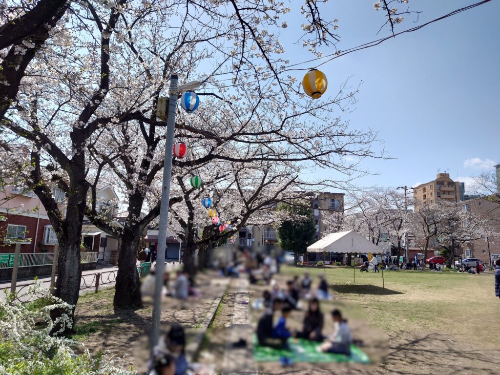 かえる公園(南流山3号公園)お花見の風景