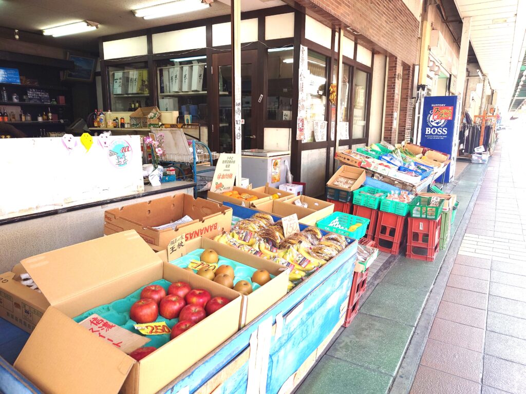 【流山市】【江戸川台】昭和レトロの雰囲気を色濃く残す街【江戸川台東口商店街】