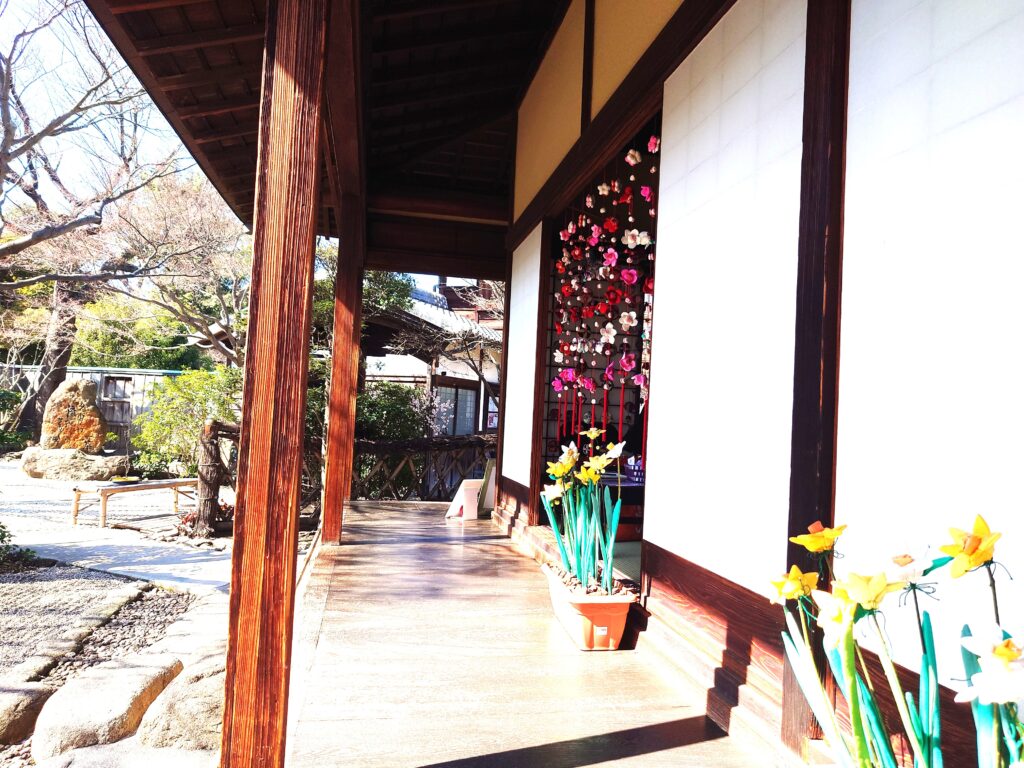 一茶双樹記念館のひなまつり2026｜吊るし雛と抹茶・桜餅を楽しむ春の流山散策