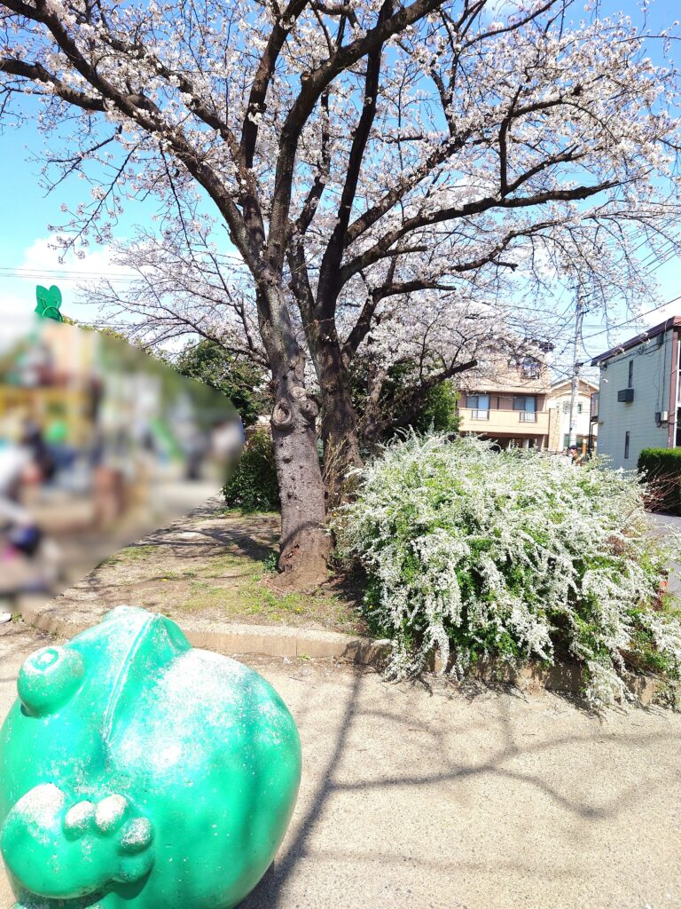 南流山,かえる公園,お花見,2025年の様子