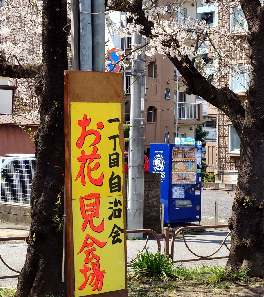 南流山,かえる公園,お花見,2025年の様子