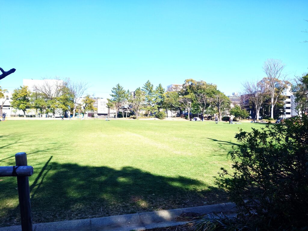 南流山で子どもと遊ぶならここ！南流山中央公園の遊具・広さを写真付きレビュー