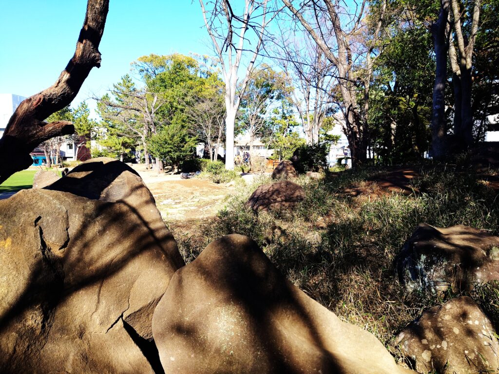 南流山で子どもと遊ぶならここ！南流山中央公園の遊具・広さを写真付きレビュー