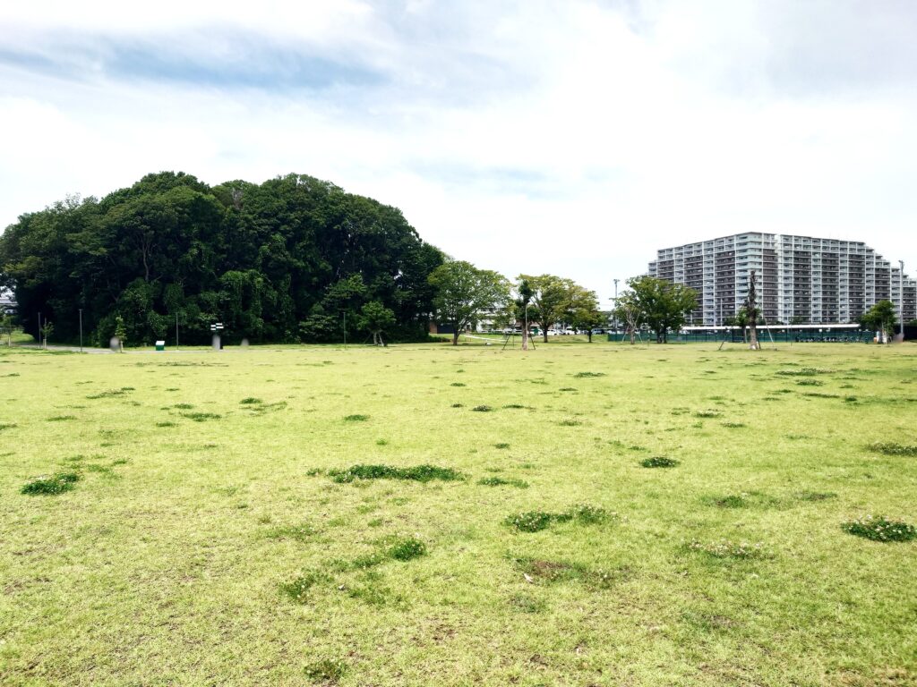 【2026】第2回八木夏まつり|流山セントラルパークで開催!日時・会場・アクセス情報