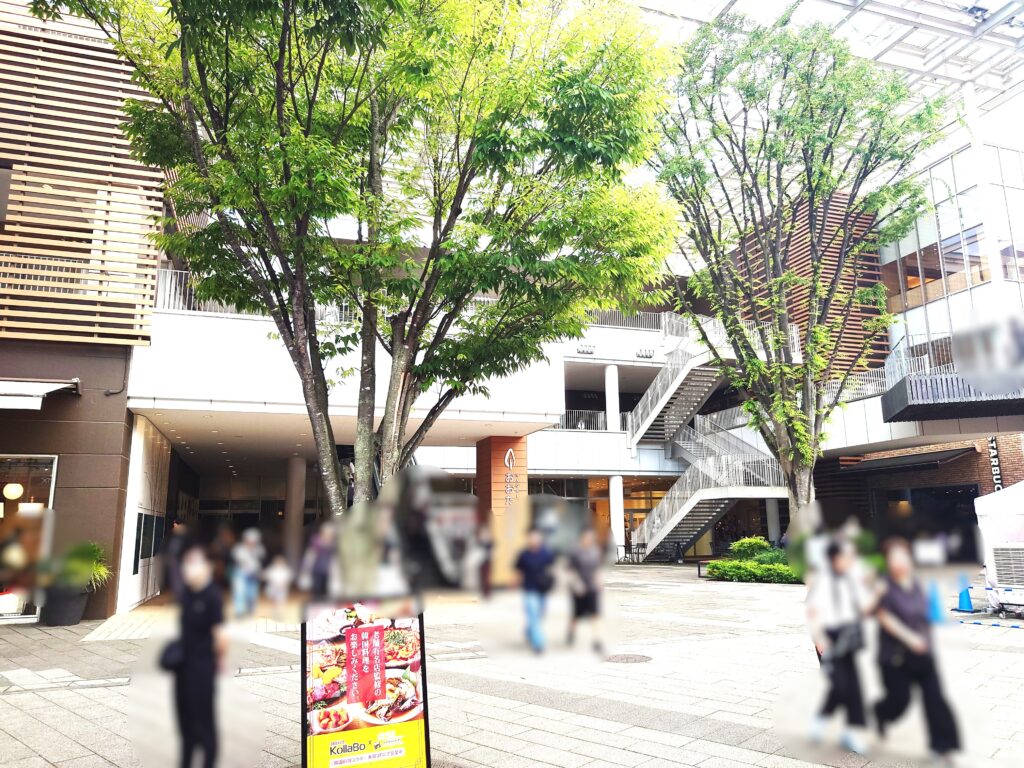 【2026】森のナイトカフェ｜流山おおたかの森で噴水ショー・グルメ・開催日時まとめ