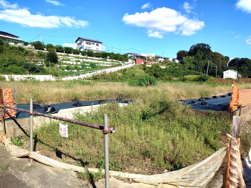 【幸谷・新松戸】流鉄流山線の駅から街歩き！歴史と再開発で変わる街を巡る