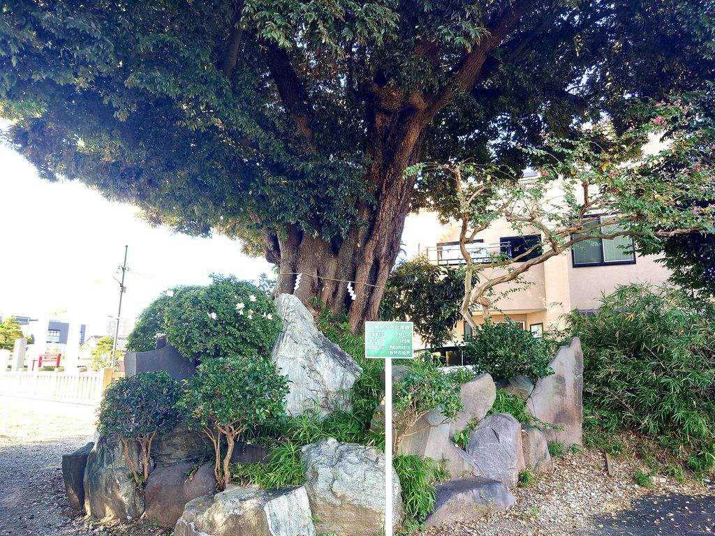 【幸谷・新松戸】流鉄流山線の駅から街歩き！歴史と再開発で変わる街を巡る