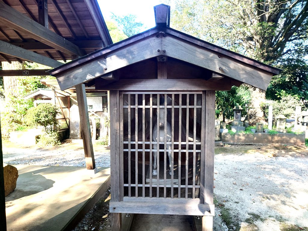 【幸谷・新松戸】流鉄流山線の駅から街歩き！歴史と再開発で変わる街を巡る