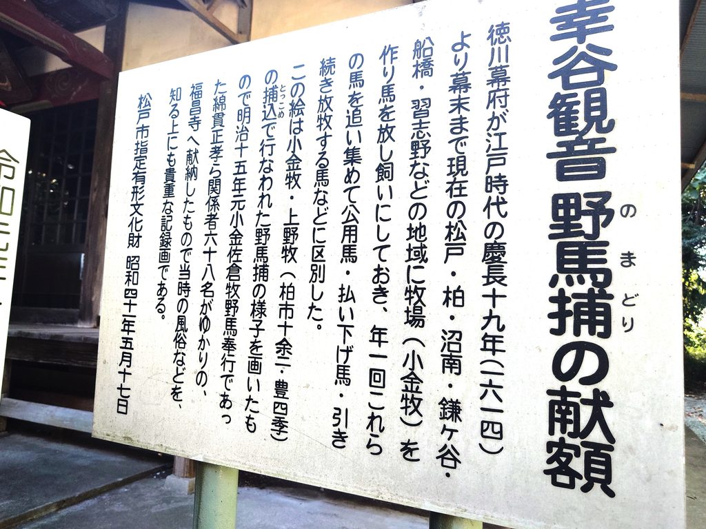 【幸谷・新松戸】流鉄流山線の駅から街歩き！歴史と再開発で変わる街を巡る