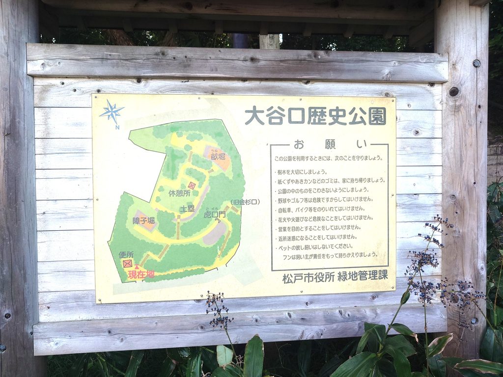 【小金城趾】流鉄流山線の駅から街歩き！昭和の面影が残る商店街と小金城の歴史を巡る